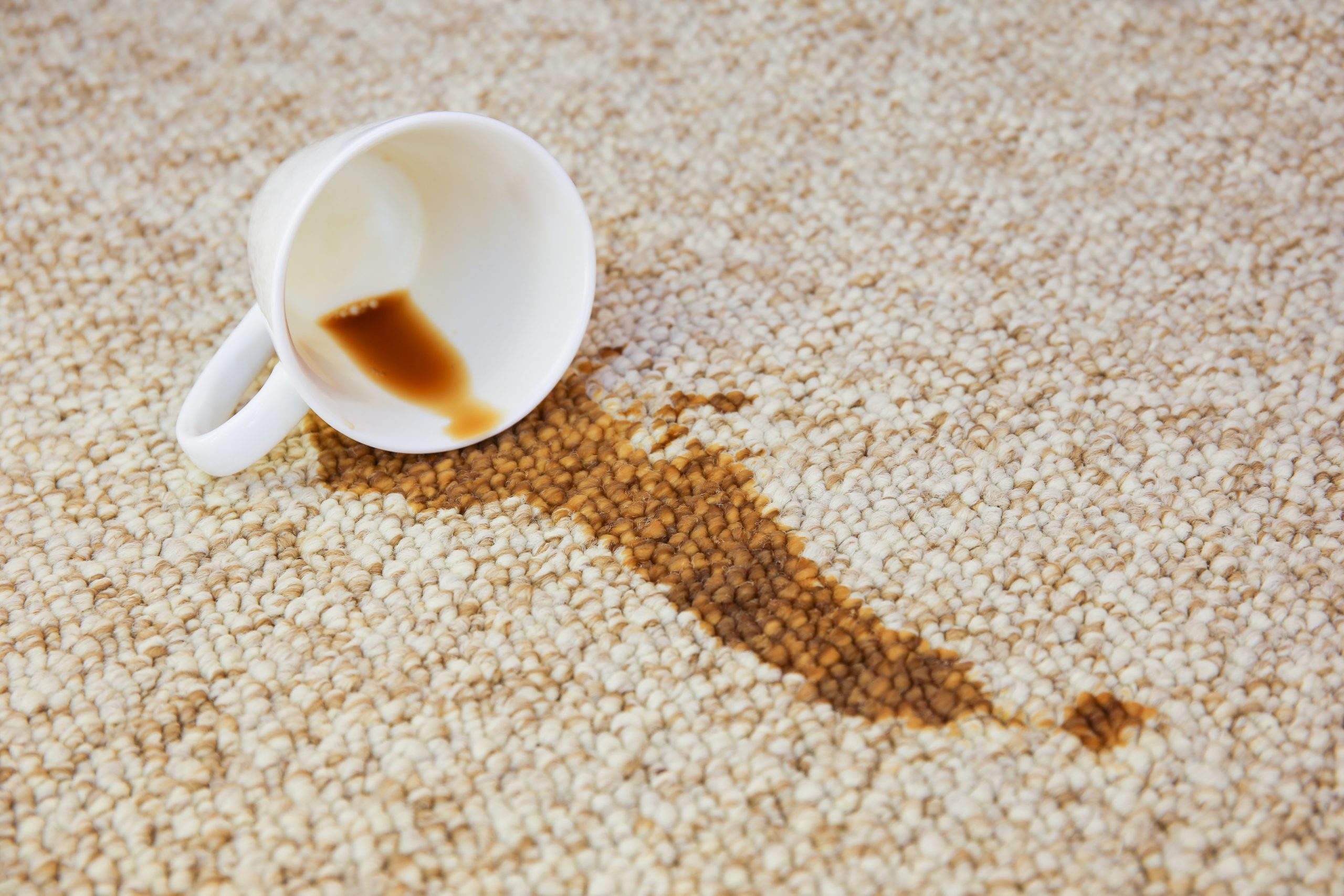 Carpet Stain Cleaning Services