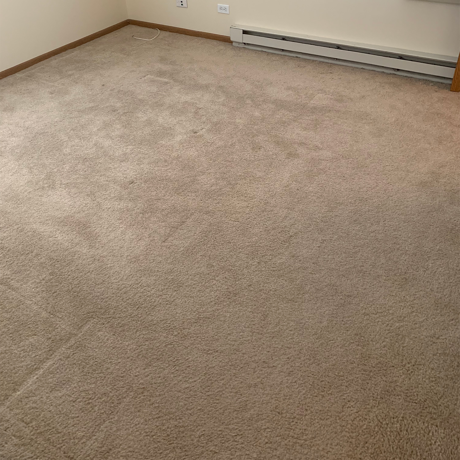 Carpet Cleaning Services in Chicago