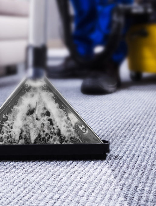 Carpet Cleaning Services Online in IL