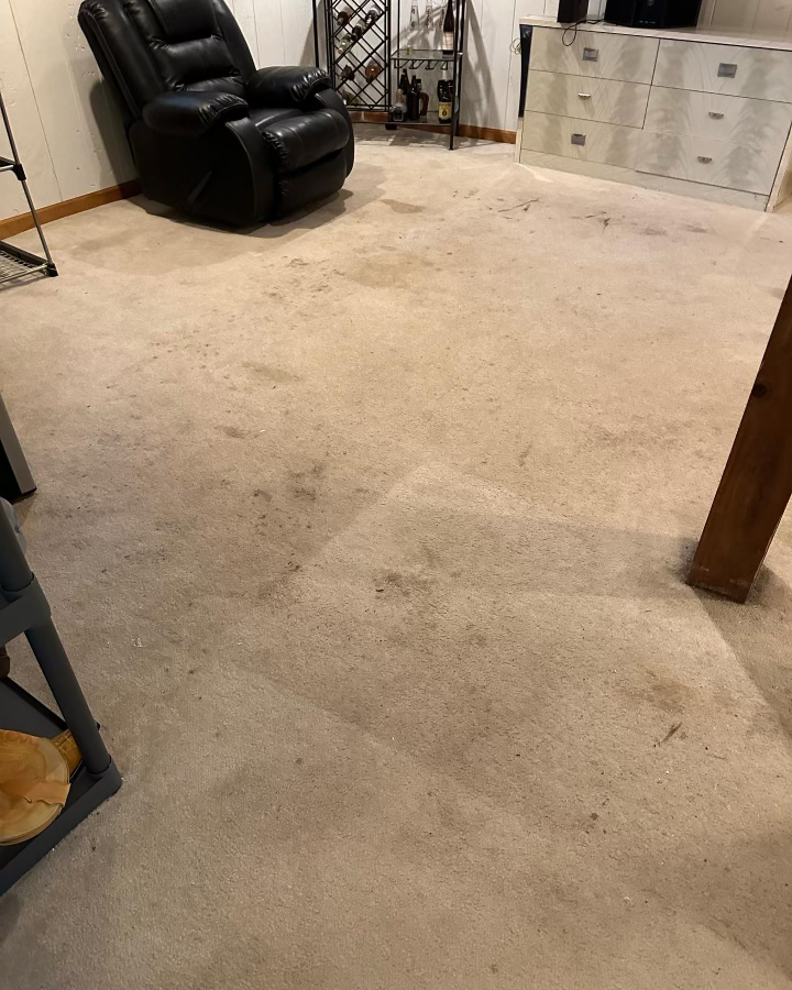 Carpet Cleaning IL