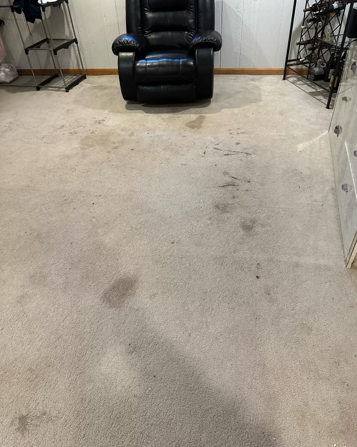 Carpet Cleaning Services Near me