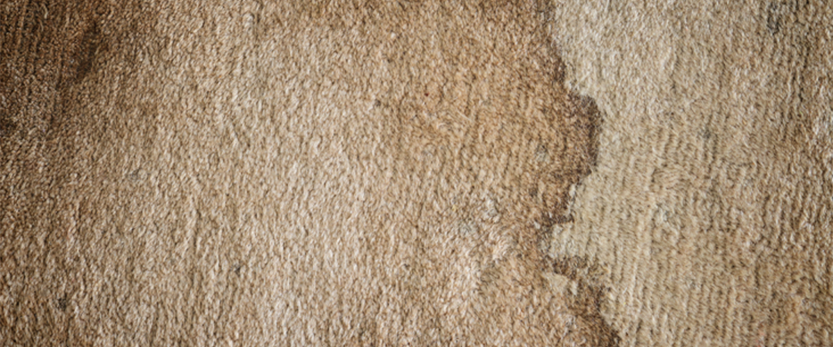How to Remove Stains from Carpet