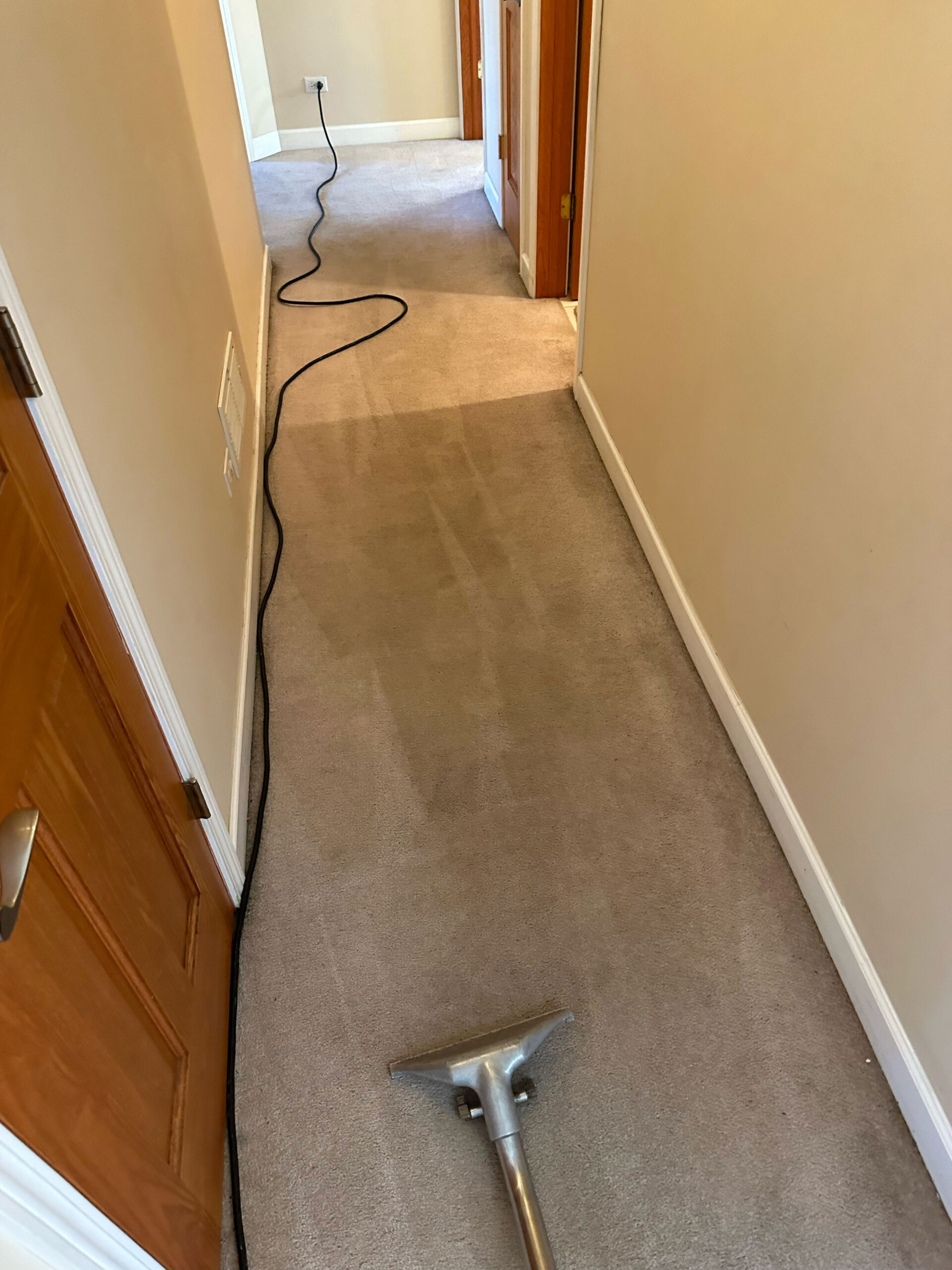 Perfect Carpet Cleaning Services